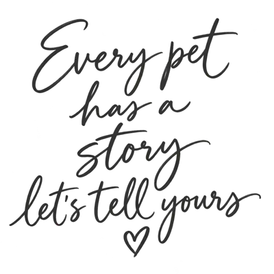 Every Pet Every Pet Has A Story